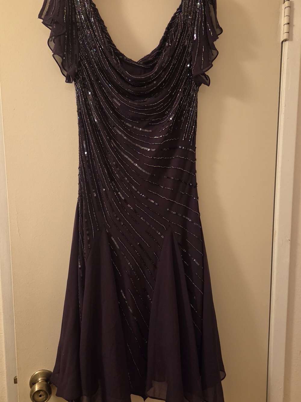 Purple Beaded Dress (8P)